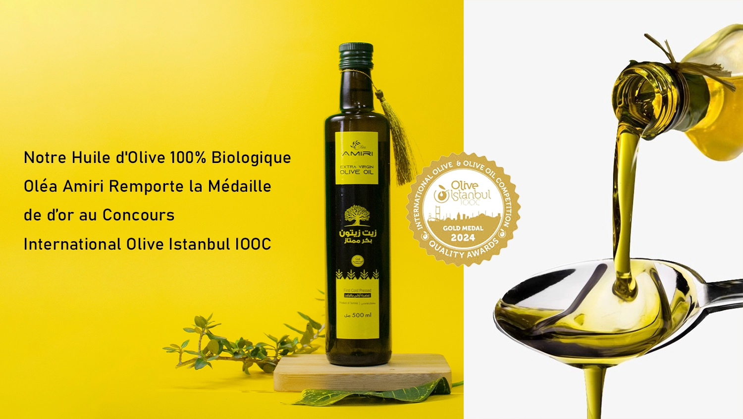 Olea-Amiri-Zit-Elguime-huile-d-olive-or-2024